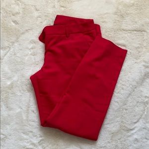 Express columnist dress pants/slacks